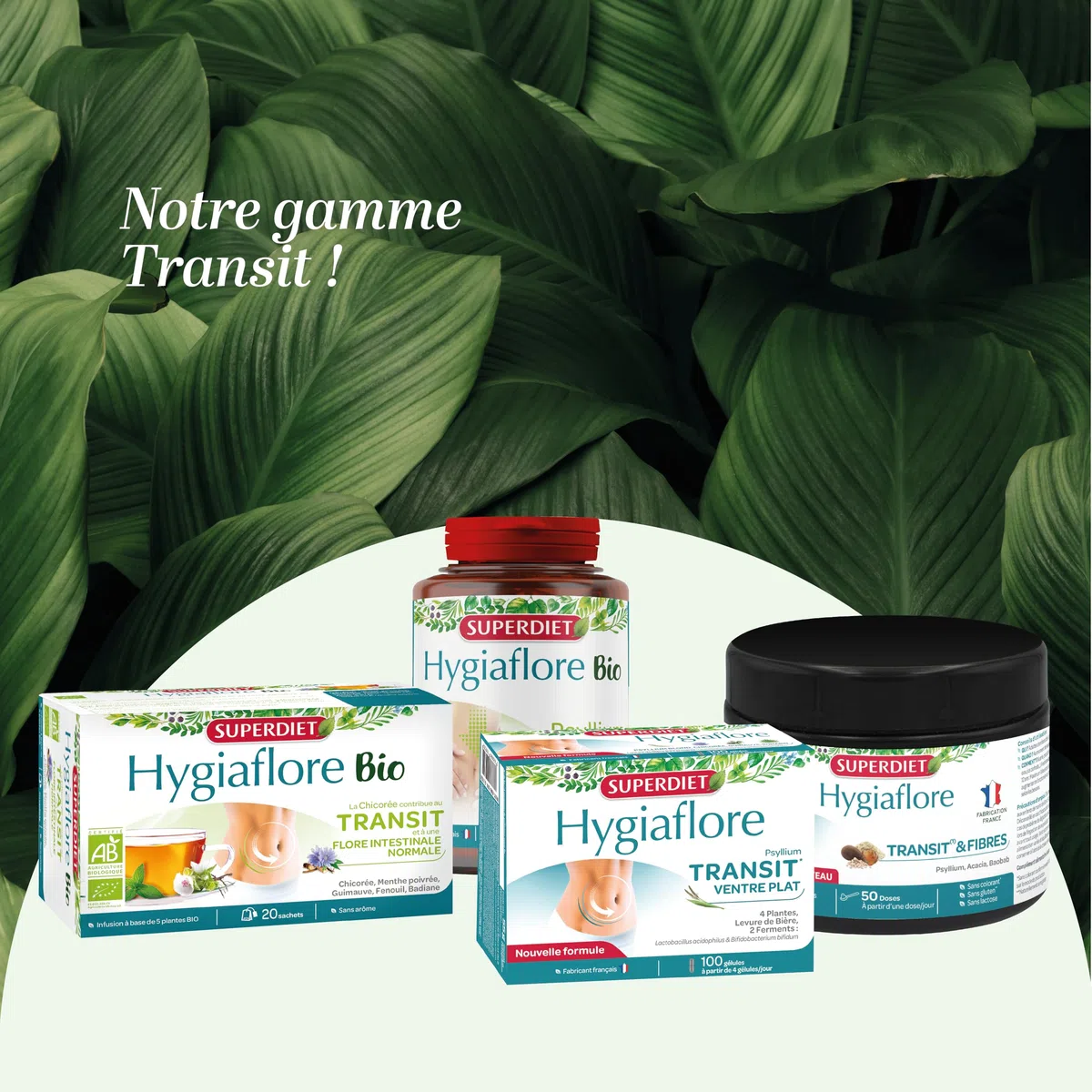 SUPERDIET - HYGIAFLORE PSYLLIUM BIO – Transit – Phytothérapie – Fabrication Française – 100 gélules