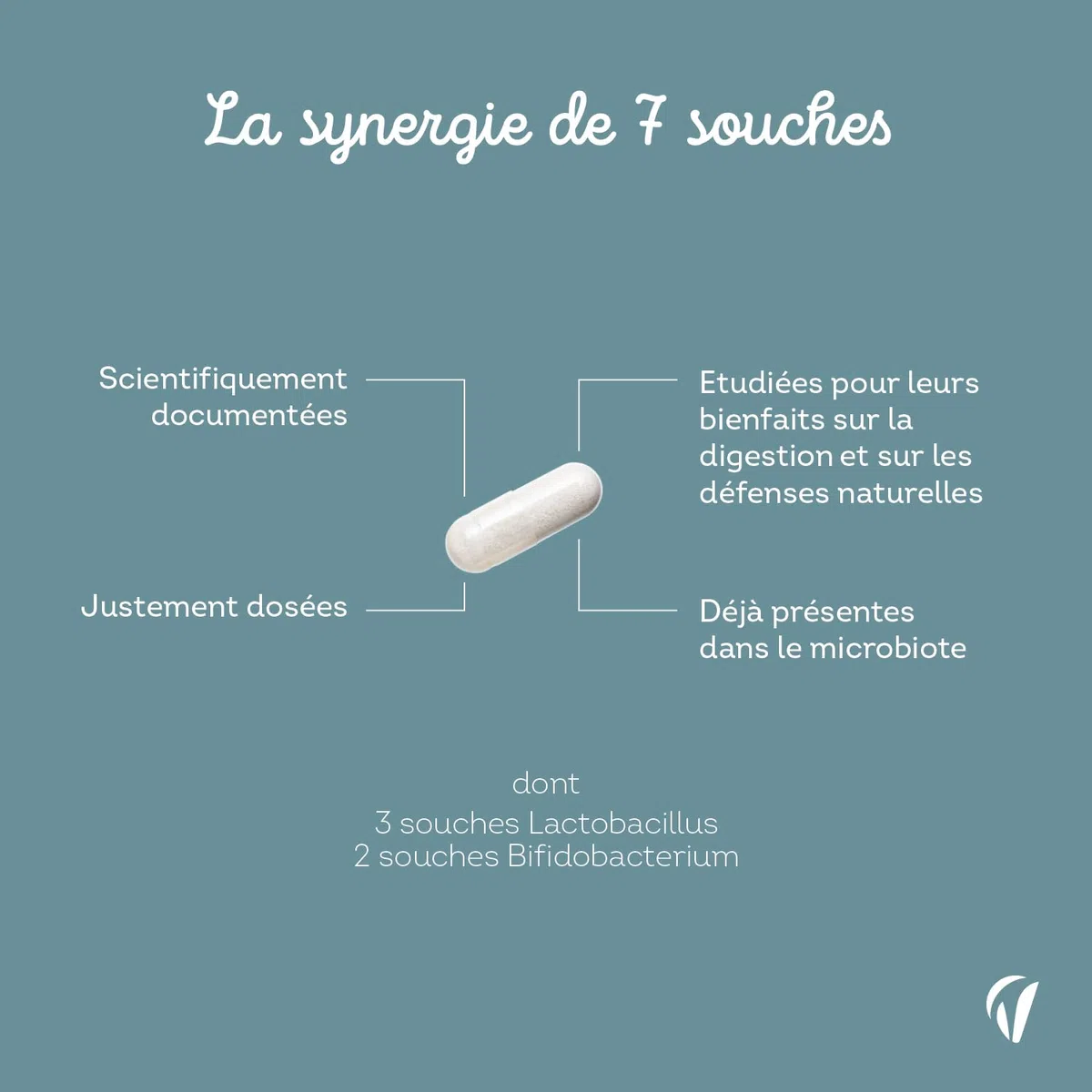 Probiotique Flore Intestinale - 7 souches dont Lactobacillus & Bifidobacterium - 28 Milliards d'UFC/jour - Transit & Microbiote Intestinal - 60 Gélules Végétales – Fabriqué en France - Vitavea