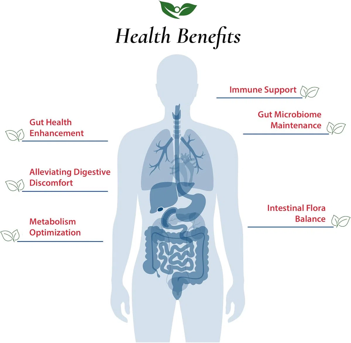 Foods For Gut Bifidobacterium Lactis Probiotic Powder 500 Billion cfu's | Made in USA | No Additives | Digestive & Immune Support | High Potency | B. Lactis | (100 Grams)