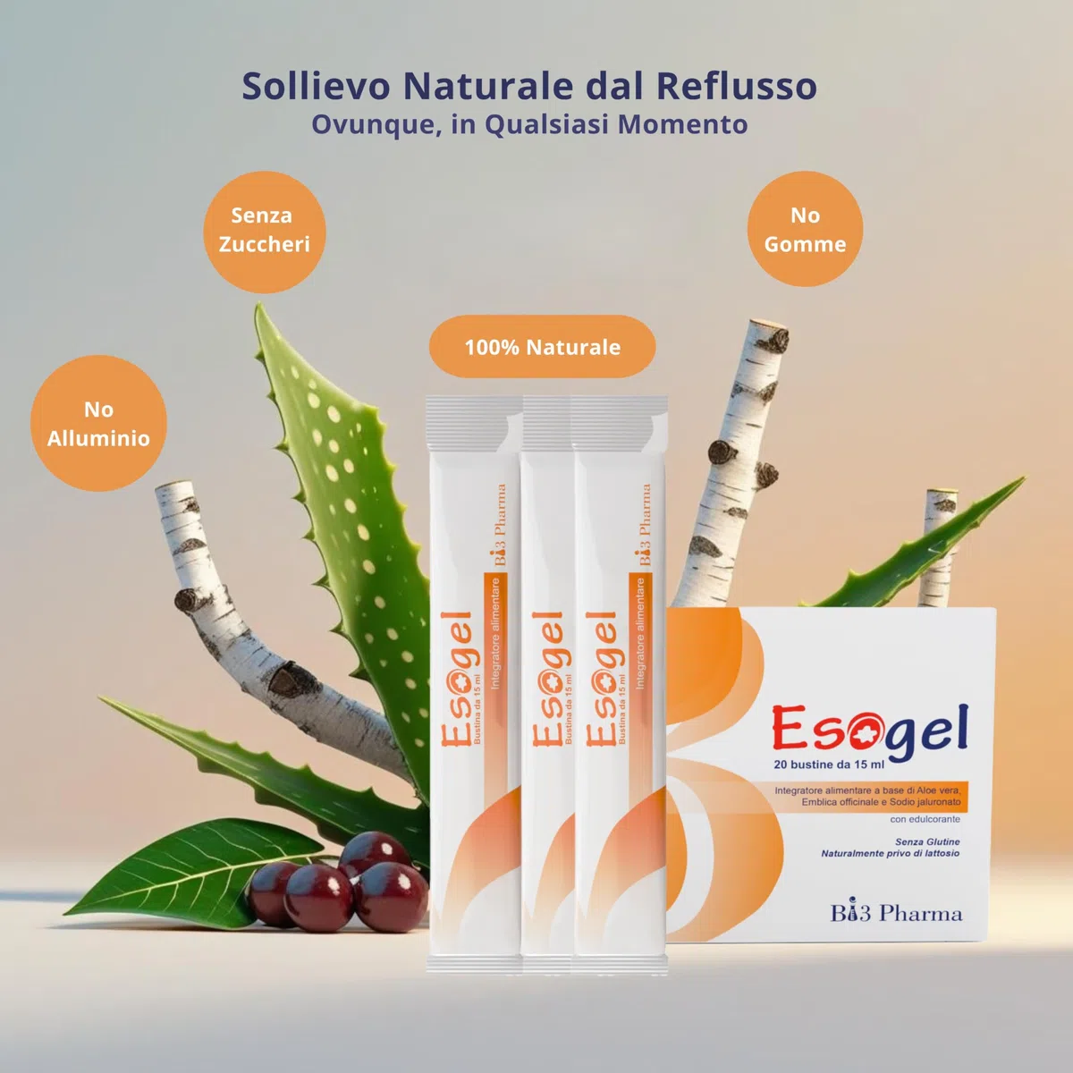 Esogel Intégrateur alimentaire avec Aloe Vera pour brûleur de Stockholm et reflux gastro-œsophagien - 20 sachets