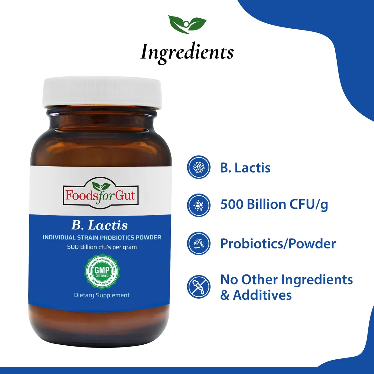Foods For Gut Bifidobacterium Lactis Probiotic Powder 500 Billion cfu's | Made in USA | No Additives | Digestive & Immune Support | High Potency | B. Lactis | (100 Grams)