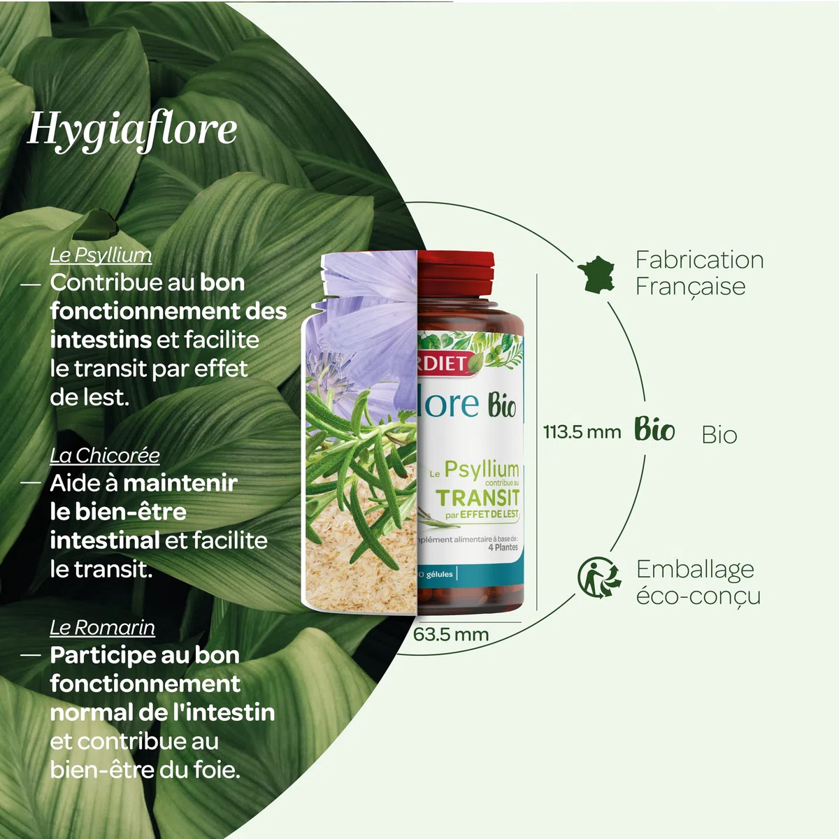 SUPERDIET - HYGIAFLORE PSYLLIUM BIO – Transit – Phytothérapie – Fabrication Française – 100 gélules