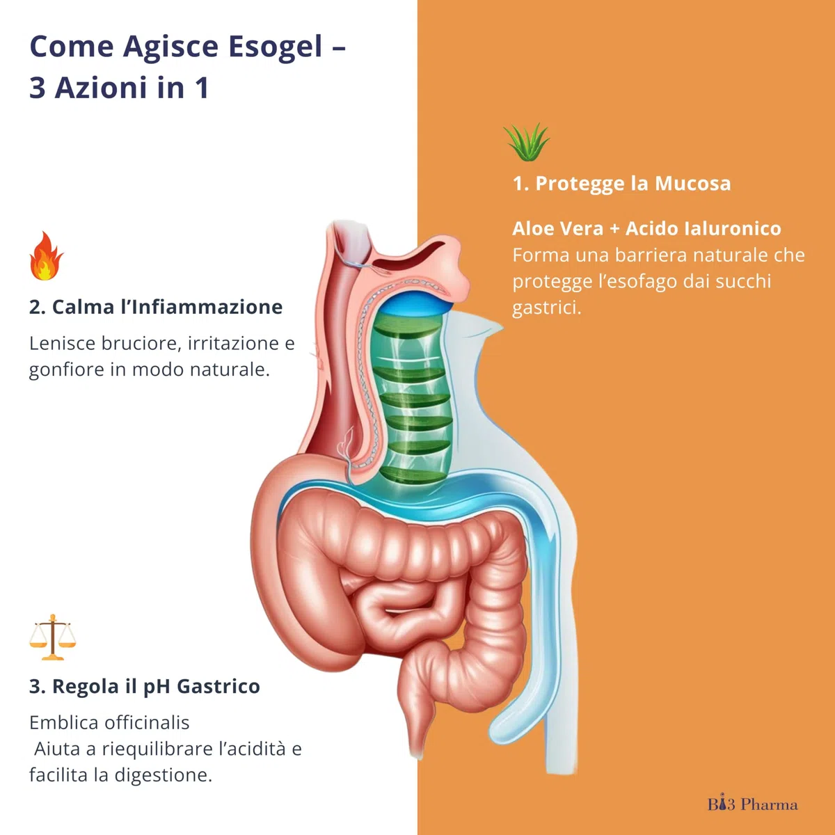 Esogel Intégrateur alimentaire avec Aloe Vera pour brûleur de Stockholm et reflux gastro-œsophagien - 20 sachets