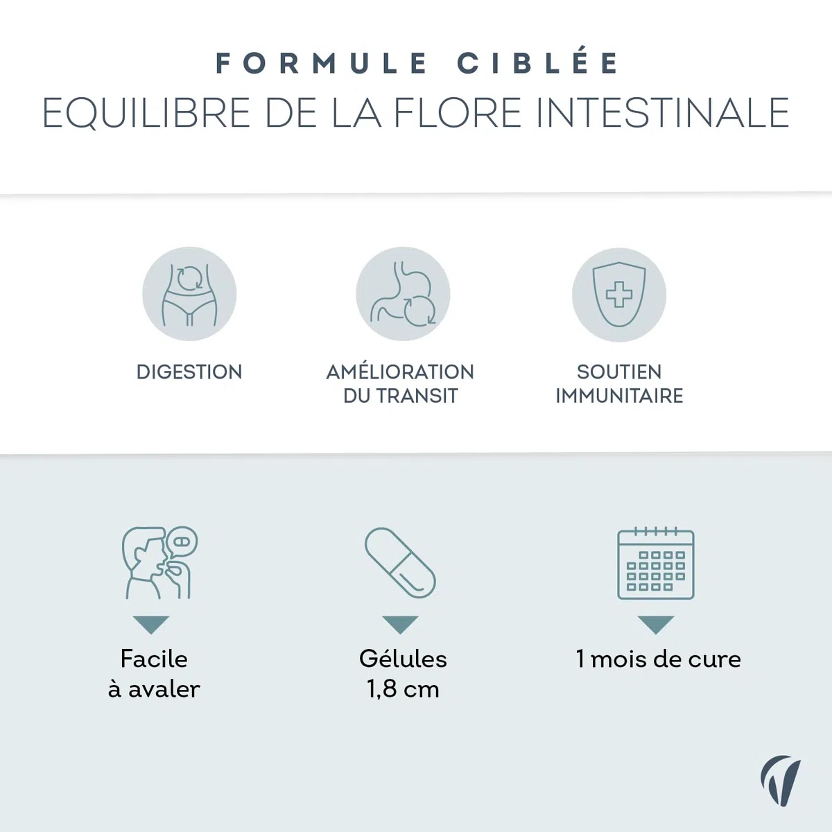 Probiotique Flore Intestinale - 7 souches dont Lactobacillus & Bifidobacterium - 28 Milliards d'UFC/jour - Transit & Microbiote Intestinal - 60 Gélules Végétales – Fabriqué en France - Vitavea