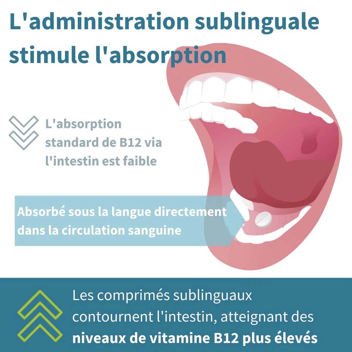 Igennus Complexe De Vitamine B12 Sublinguale À Haute Absorption 1000 Mcg, 180 Doses, Sans Sucre Saveur Fraise, Méthylcobalamine, Adénosylcobalamine Et Hydroxocobalamine, Vegan