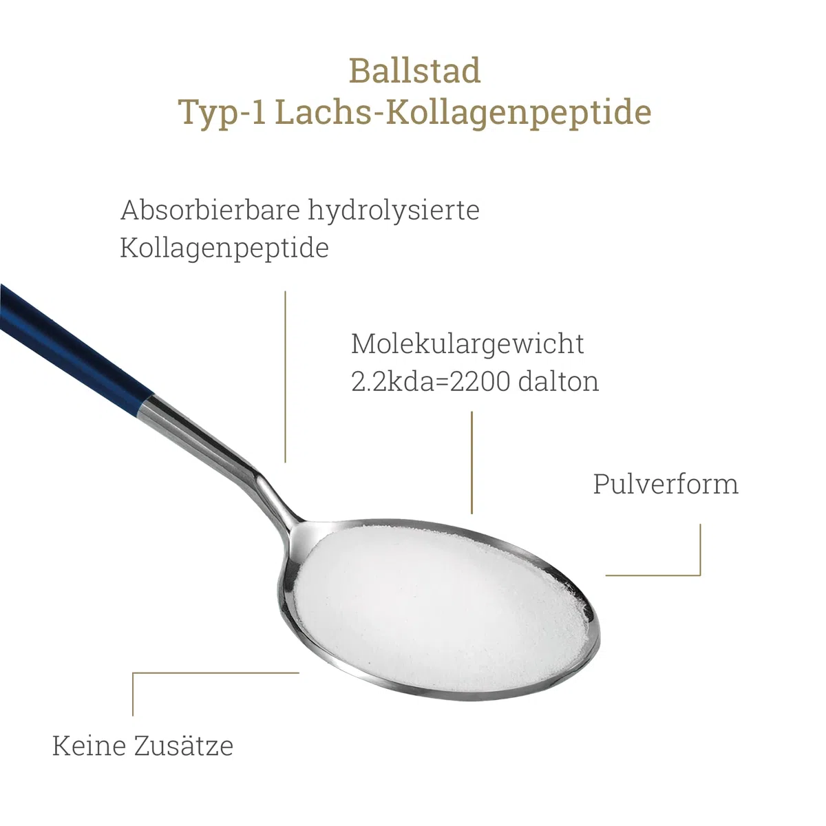 Purs peptides de collagène de poisson norvégien 160g - Poisson en poudre de collagène sans additifs, idéal pour mélanger dans les boissons et les soupes. Fabriqué en Norvège Recharge pour 1