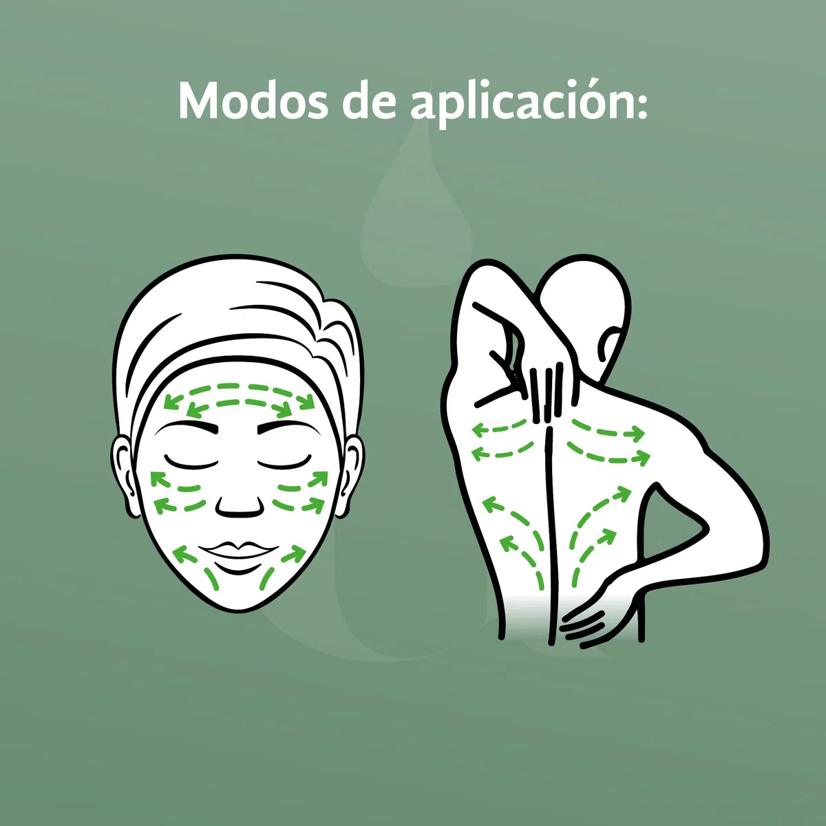 Masseur Visage et Corps - Roll On en bois de hêtre et bille d'aventurine - Effet Relax - Calme et détend la peau en activant et améliorant la circulation sanguine - Naturel et Vegan – Amakandu
